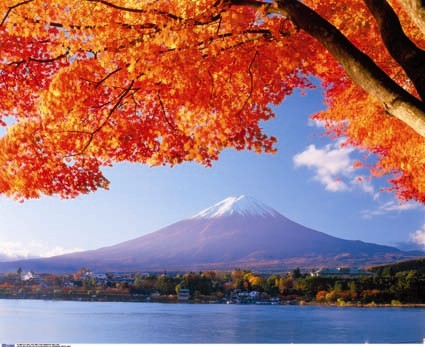 thomas cook tours japan