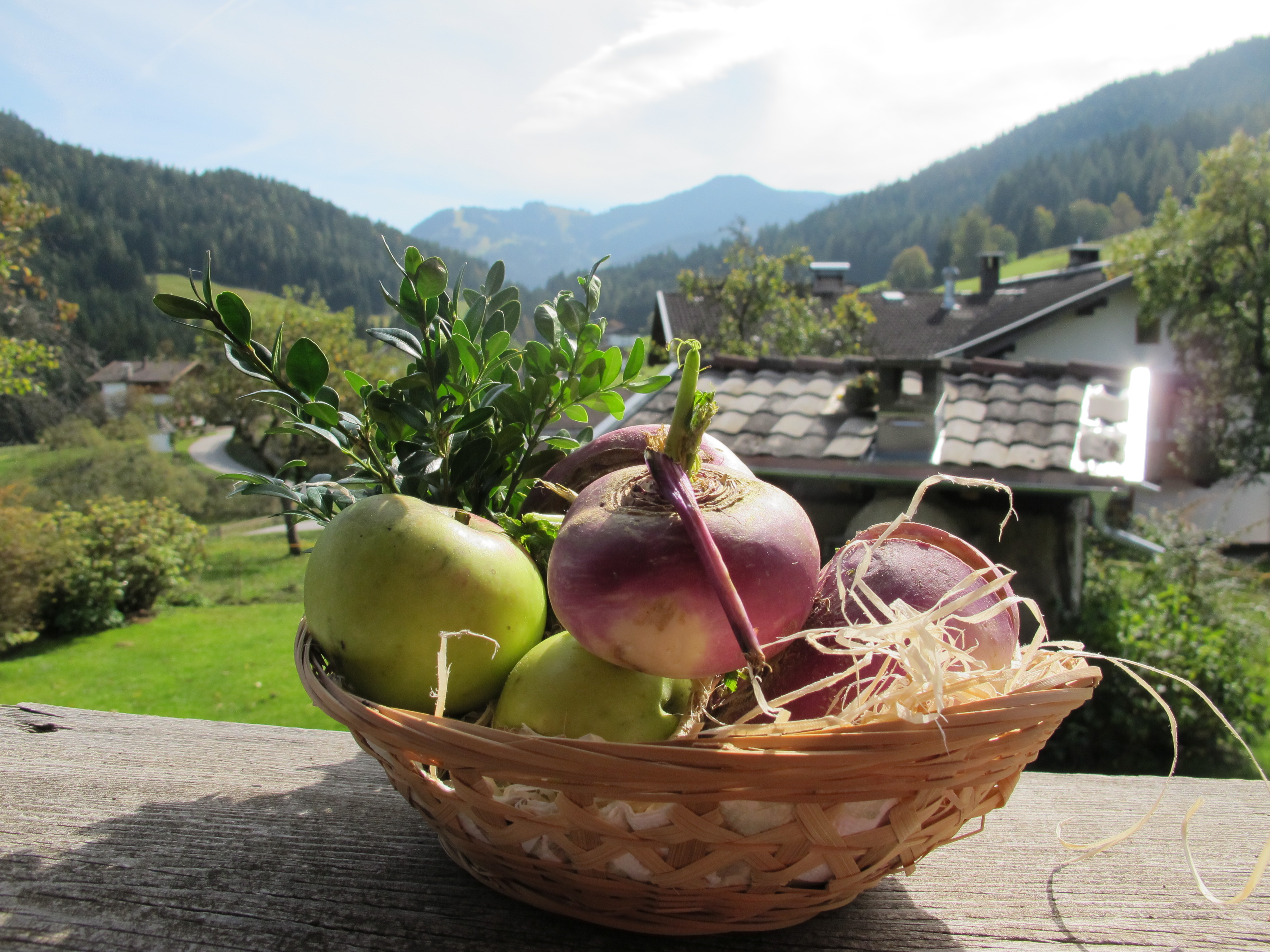 Weiße Rübe im Rampenlicht: Genuss-Herbst in der Wildschönau ...