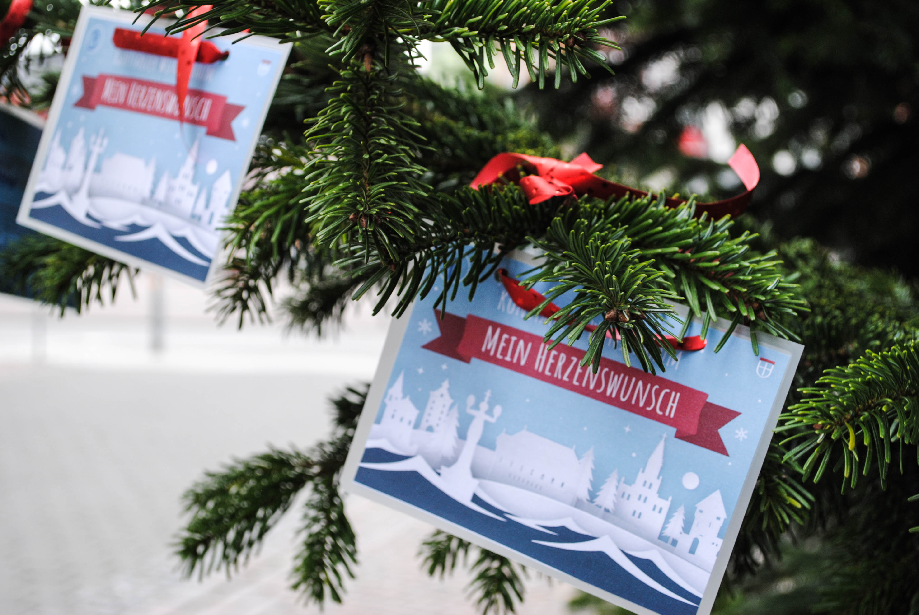 Konstanzer-Wunschbaum-jetzt-Weihnachtsw-nsche-erf-llen