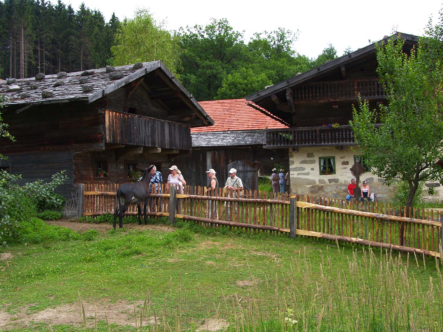 Museumsdorf Bayerischer Wald als Kulisse für