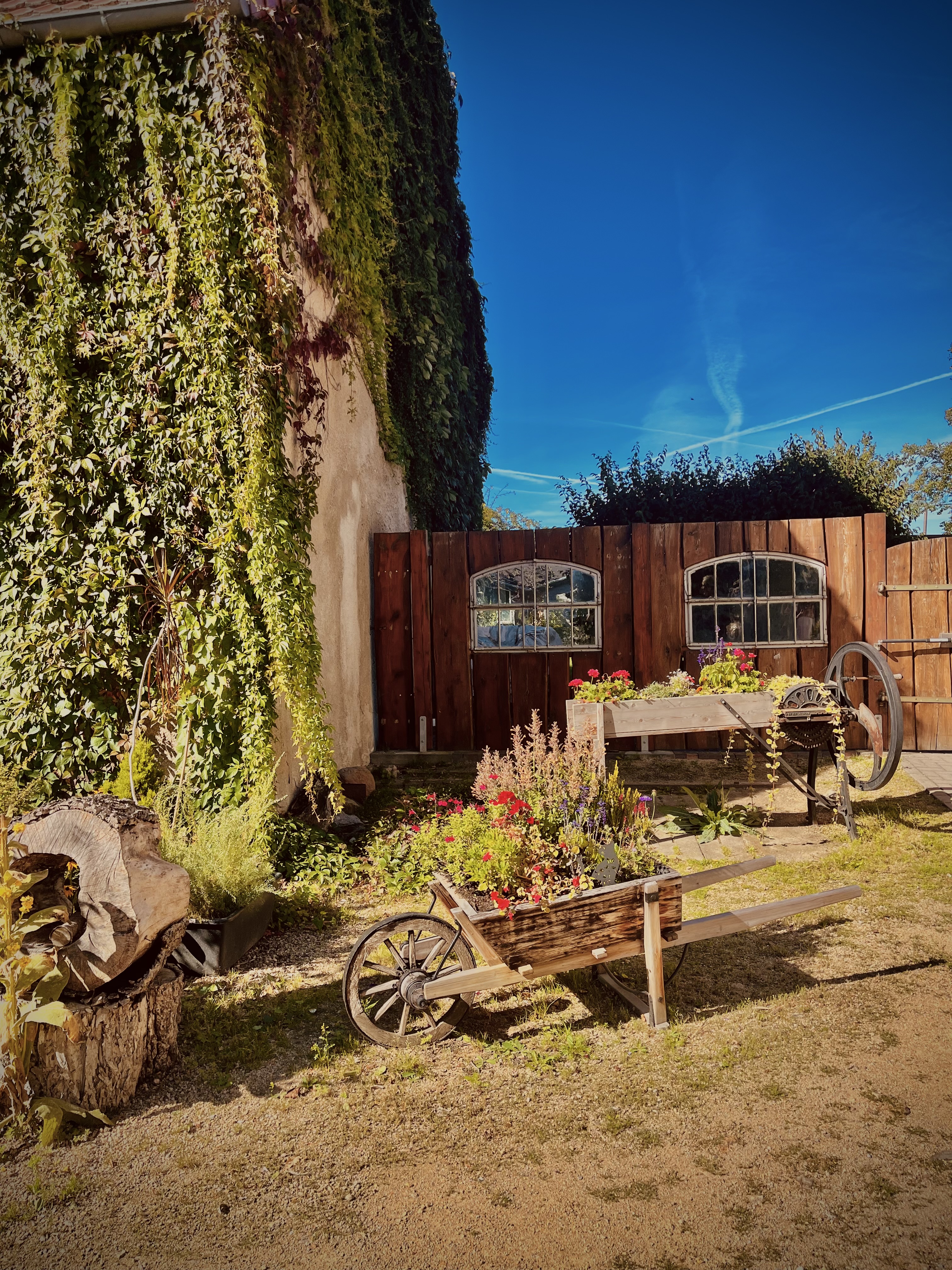 -Es-macht-Sinn-alte-Rezepte-zu-bewahren-und-mit-modernen-Ideen-zu-verbinden-