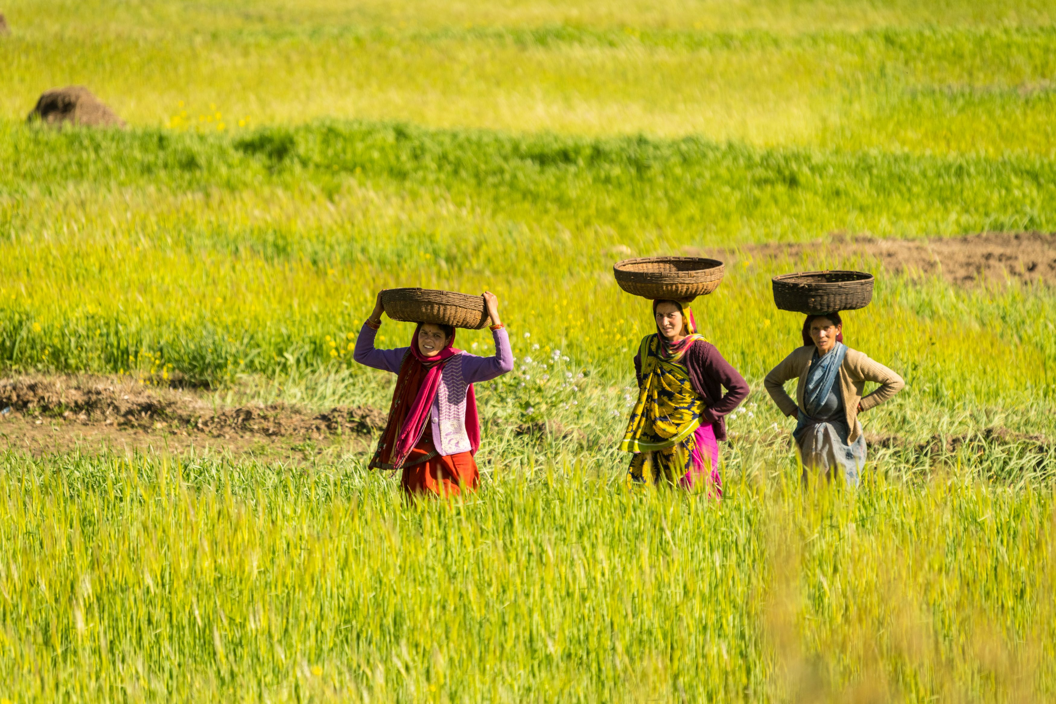 Wie-erreicht-man-intelligenten-Klimaschutz-gut-f-r-Klima-Natur-und-Menschen-