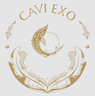 Logo der Firma CAVI EXO