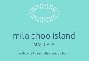 Logo der Firma Milaidhoo Maldives