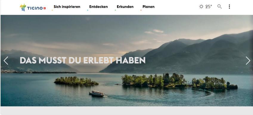 Website Promotion