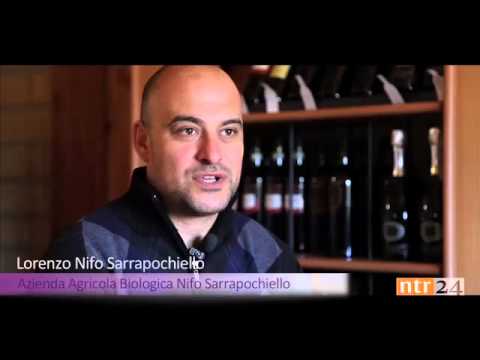 Nifo Sarrapochiello da Ntr24 : "Vini d eccellenza"