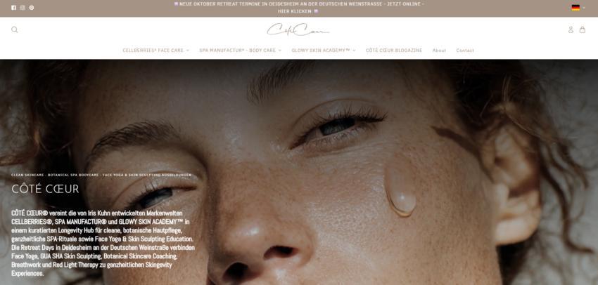 Website Promotion