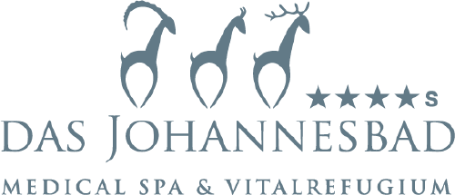 Logo der Firma Johannesbad GmbH & Co KG
