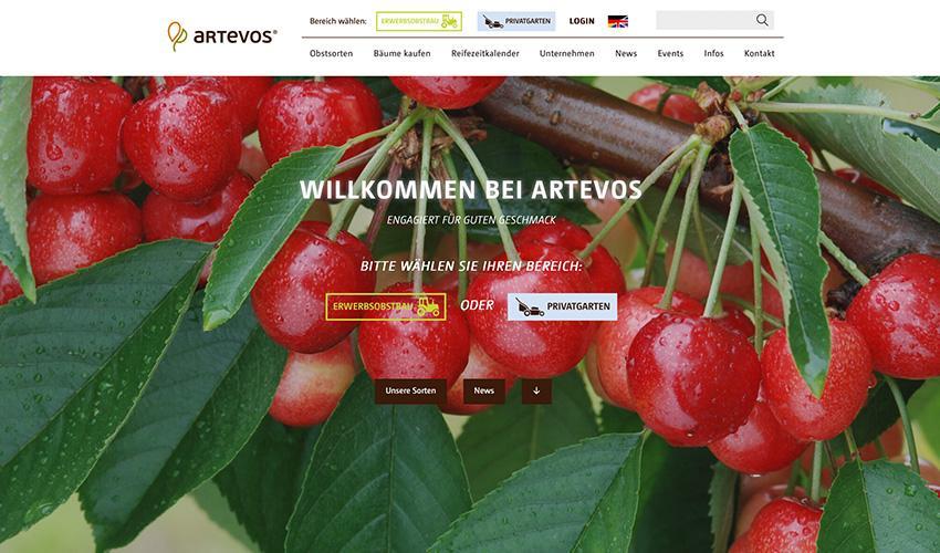 Website Promotion