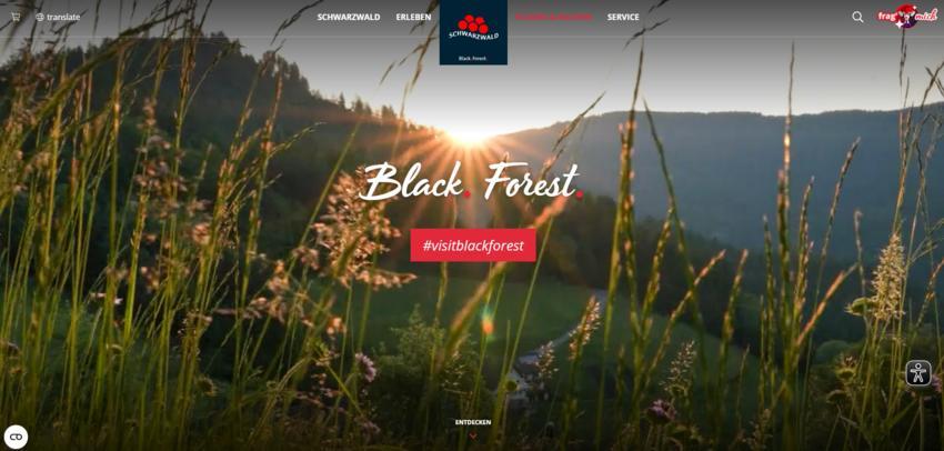 Website Promotion
