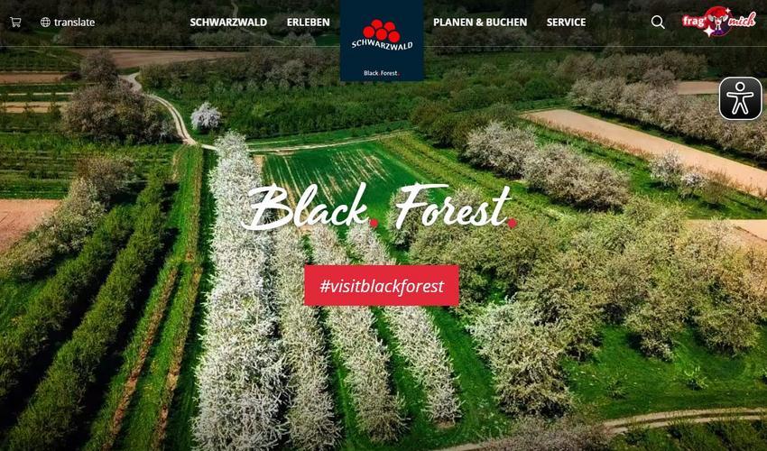Website Promotion