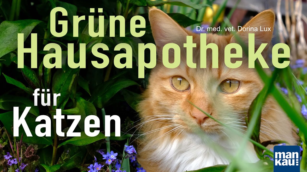 Grüne Hausapotheke für Katzen - Heimische Heilpflanzen sicher anwenden (Dr. vet. med. Dorina Lux)