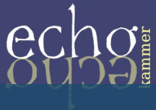 Logo der Firma echokammer