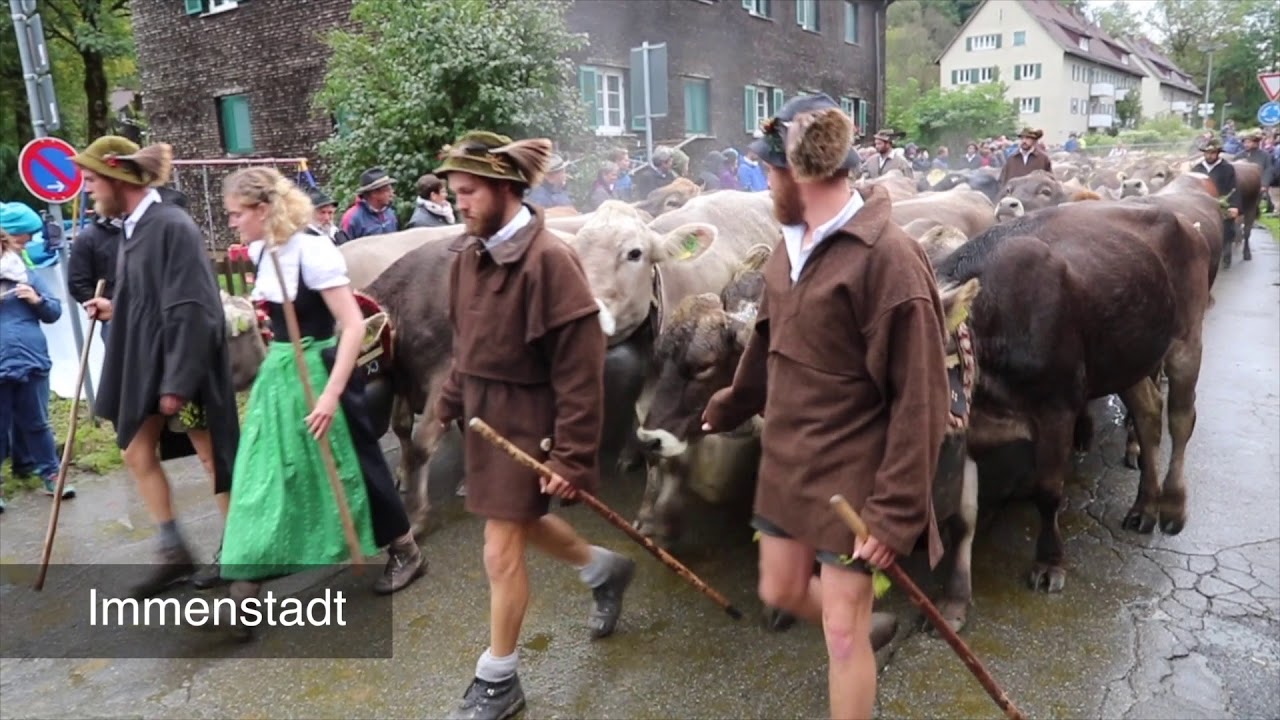Viehscheidsaison im Allgäu 2017