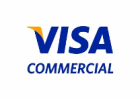 Logo der Firma Visa Europe Management Services Limited, German Branch