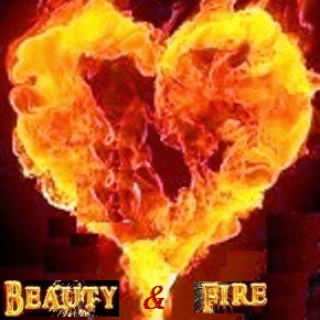Logo der Firma Beauty & Fire - Karsten Krüger