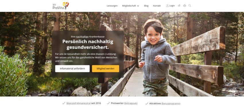 Website Promotion
