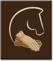 Logo der Firma W&F Meisterhandschuhe GbR