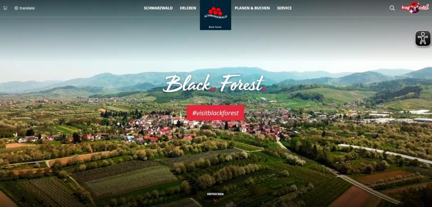 Website Promotion