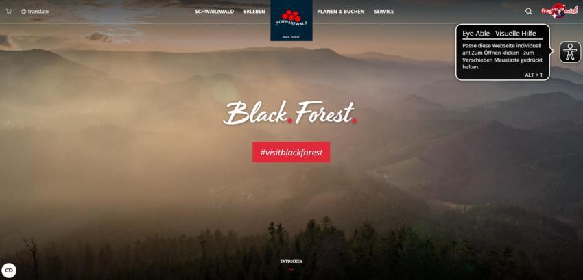 Website Promotion