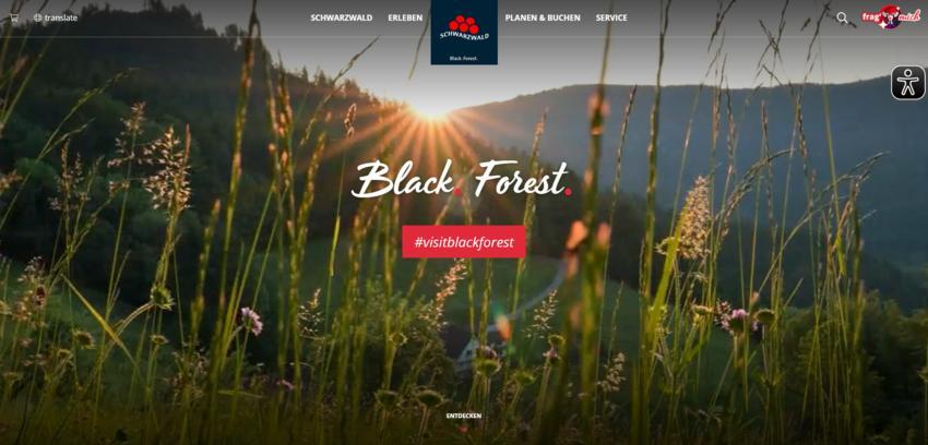 Website Promotion