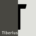 Logo der Firma TIBERIUS