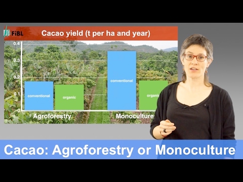 Cacao agroforestry systems compared to monoculture: Yields and return on labor