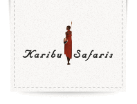 Logo der Firma KARIBU SAFARIS GMBH