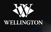 Logo der Firma Wellington Uhren Generalvertrieb Europa STI Gruppe