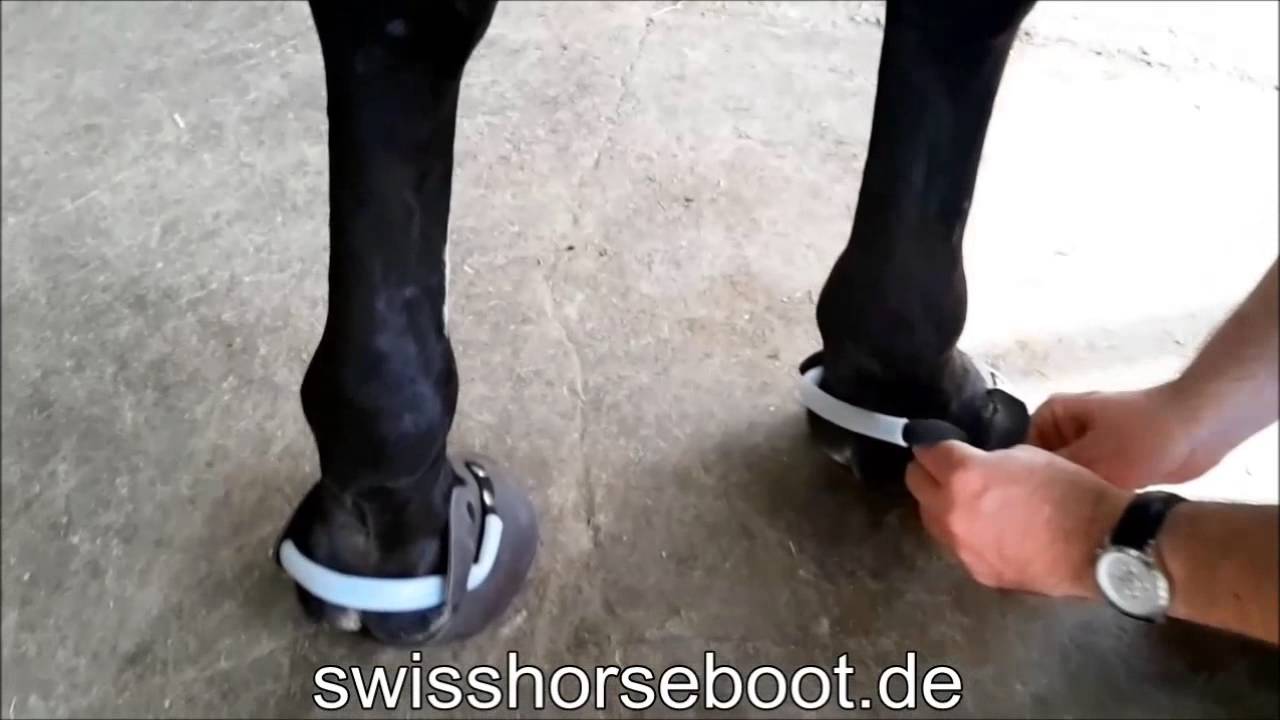 Hufschuhe anziehen - SWISS HORSE BOOT