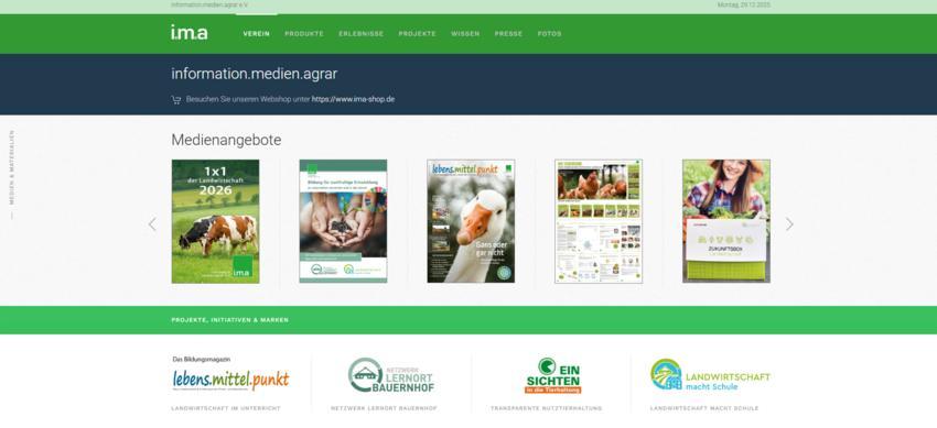 Website Promotion