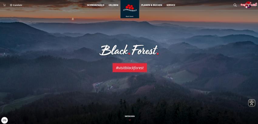 Website Promotion