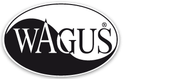 Logo der Firma WAGUS GmbH