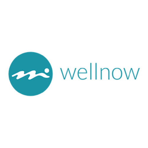 Logo der Firma Wellnow Group GmbH