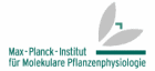 Logo der Firma Max-Planck-Institut für molekulare Pflanzenphysiologie Wissenschaftspark Potsdam-Golm
