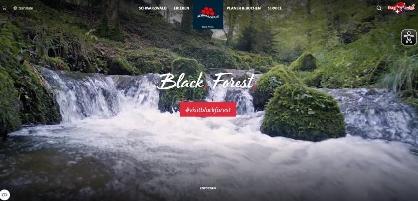 Website Promotion
