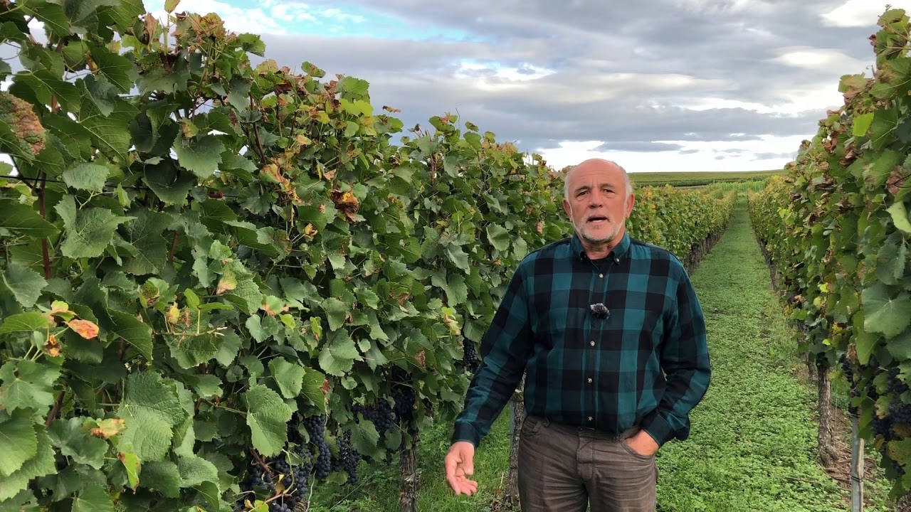 Statement zu Volksantrag "Gemeinsam unsere Umwelt Schützen"