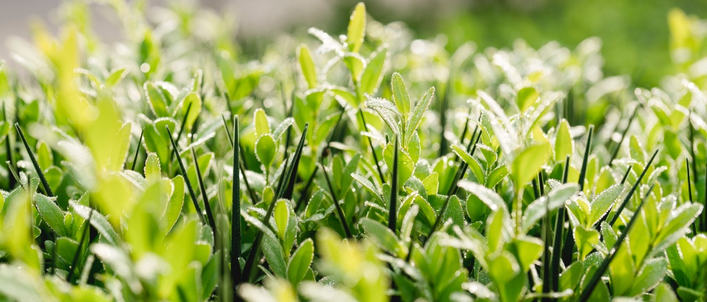 Titelbild der Firma JaViAs GmbH