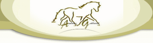 Logo der Firma Pferdetherapie Andreas Gebhardt