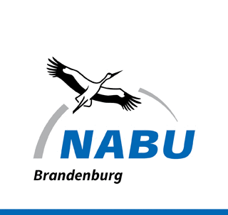 Logo der Firma NABU Brandenburg
