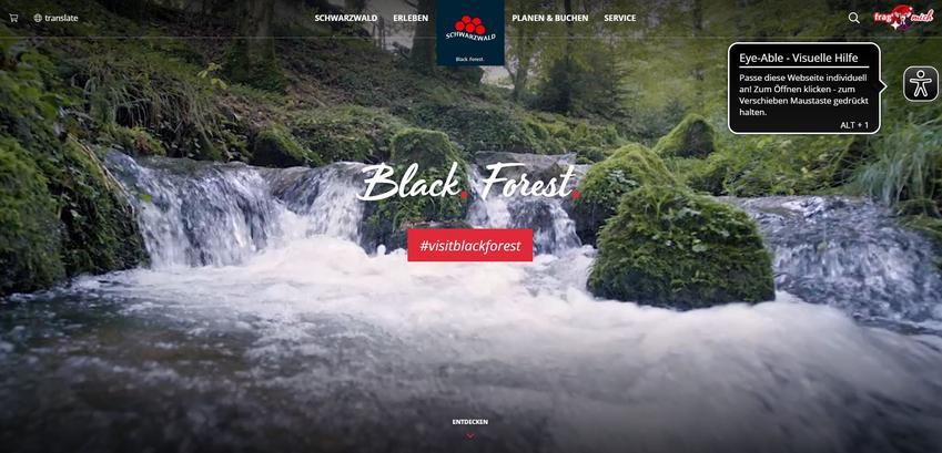Website Promotion