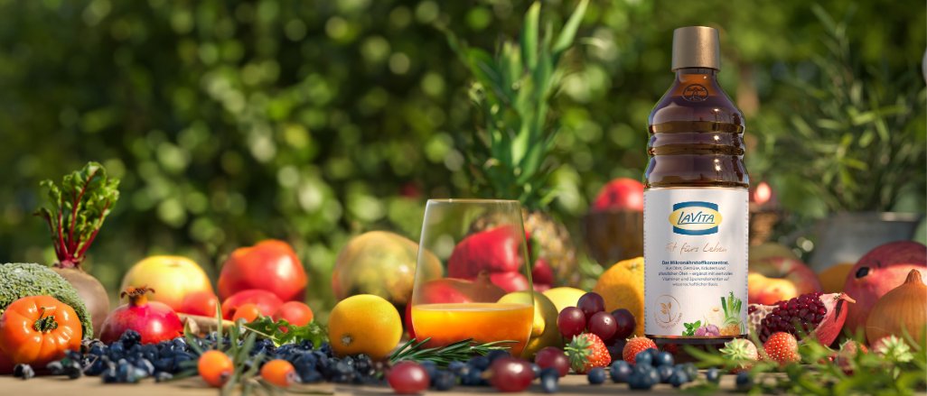 Titelbild der Firma LaVita GmbH