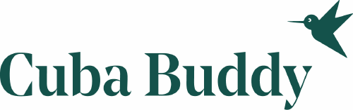 Logo der Firma Travel Buddies GmbH