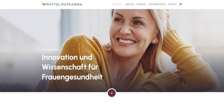 Website Promotion