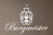 Logo der Firma Burgmeister Timepieces Generalvertrieb Europa STI Gruppe