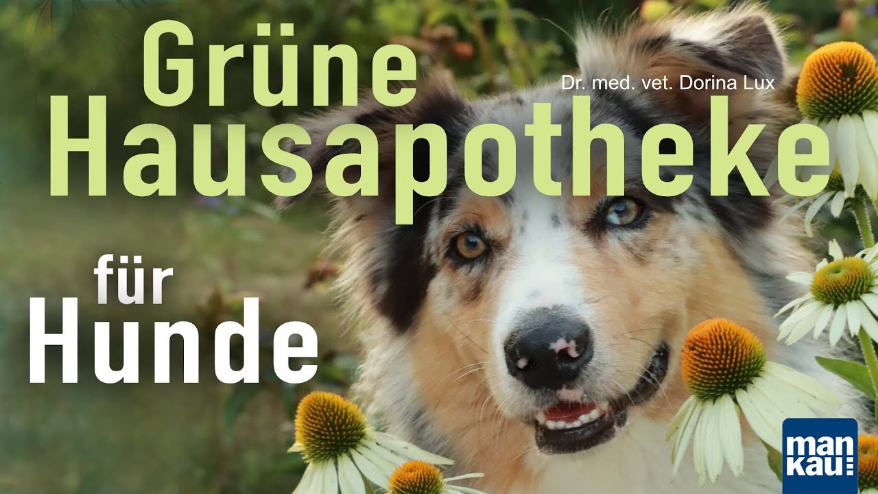 Grüne Hausapotheke für Hunde - Heimische Heilpflanzen sicher anwenden (Dr. vet. med. Dorina Lux)