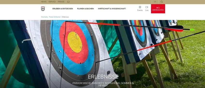 Website Promotion