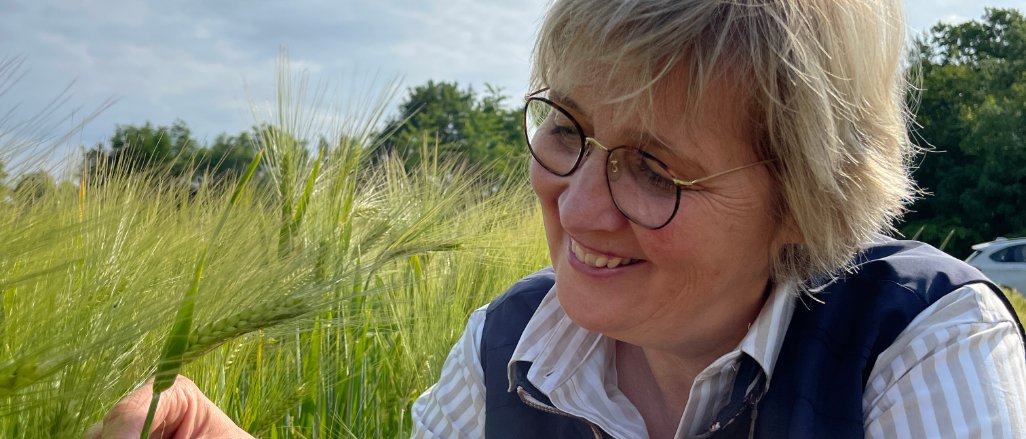 Titelbild der Firma Gerstoni - Dieckmann Cereals GmbH