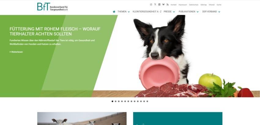 Website Promotion