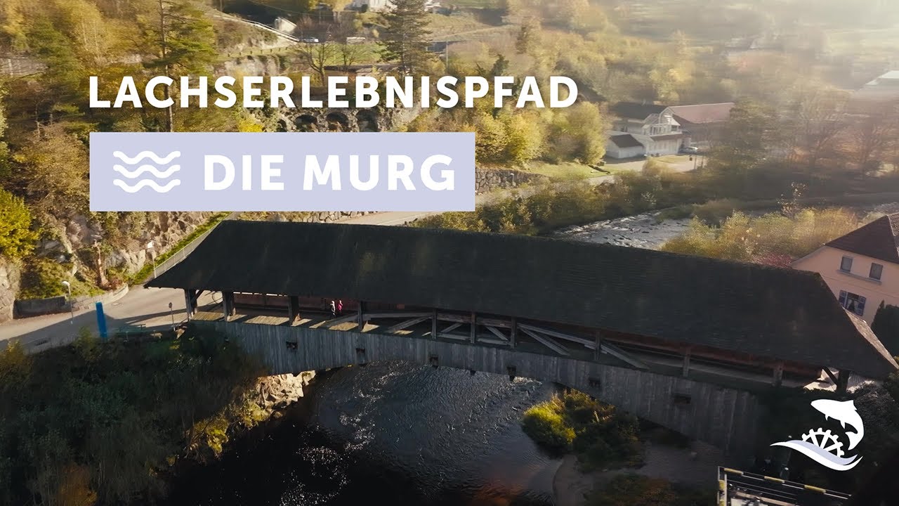 Lachs Erlebnis Pfad im Murgtal - Entdeckt die Murg - ein Paradies für Lachse